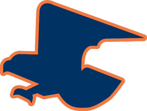 Auburn Tigers 1976-1980 Secondary Logo diy DTF decal sticker